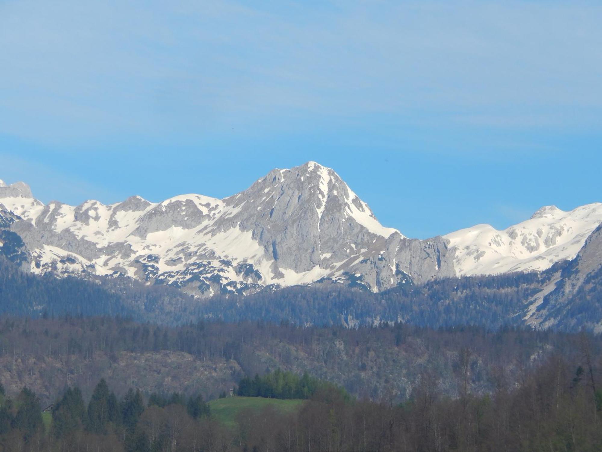 Apartments Bb Bohinj ภายนอก รูปภาพ