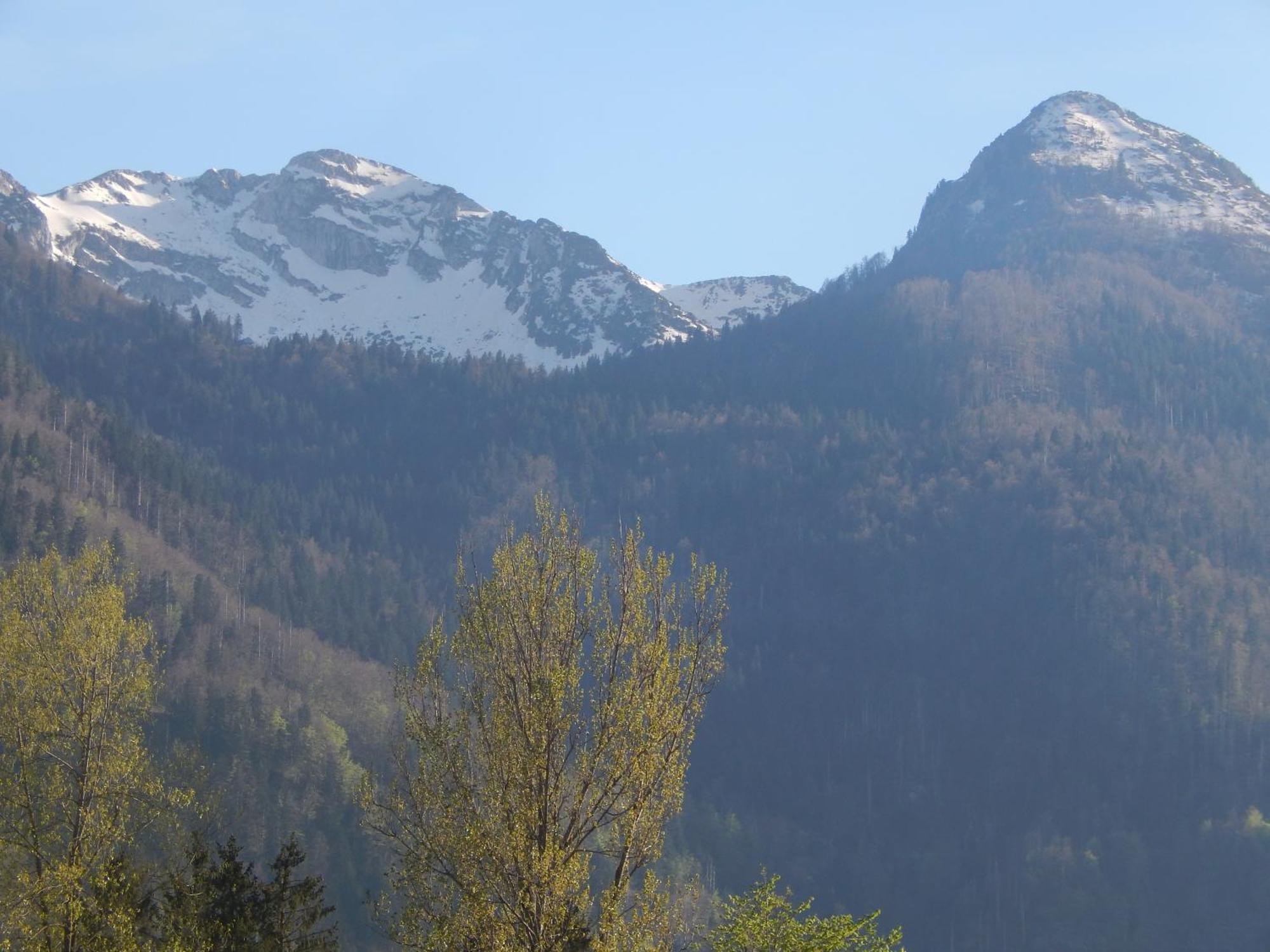Apartments Bb Bohinj ภายนอก รูปภาพ