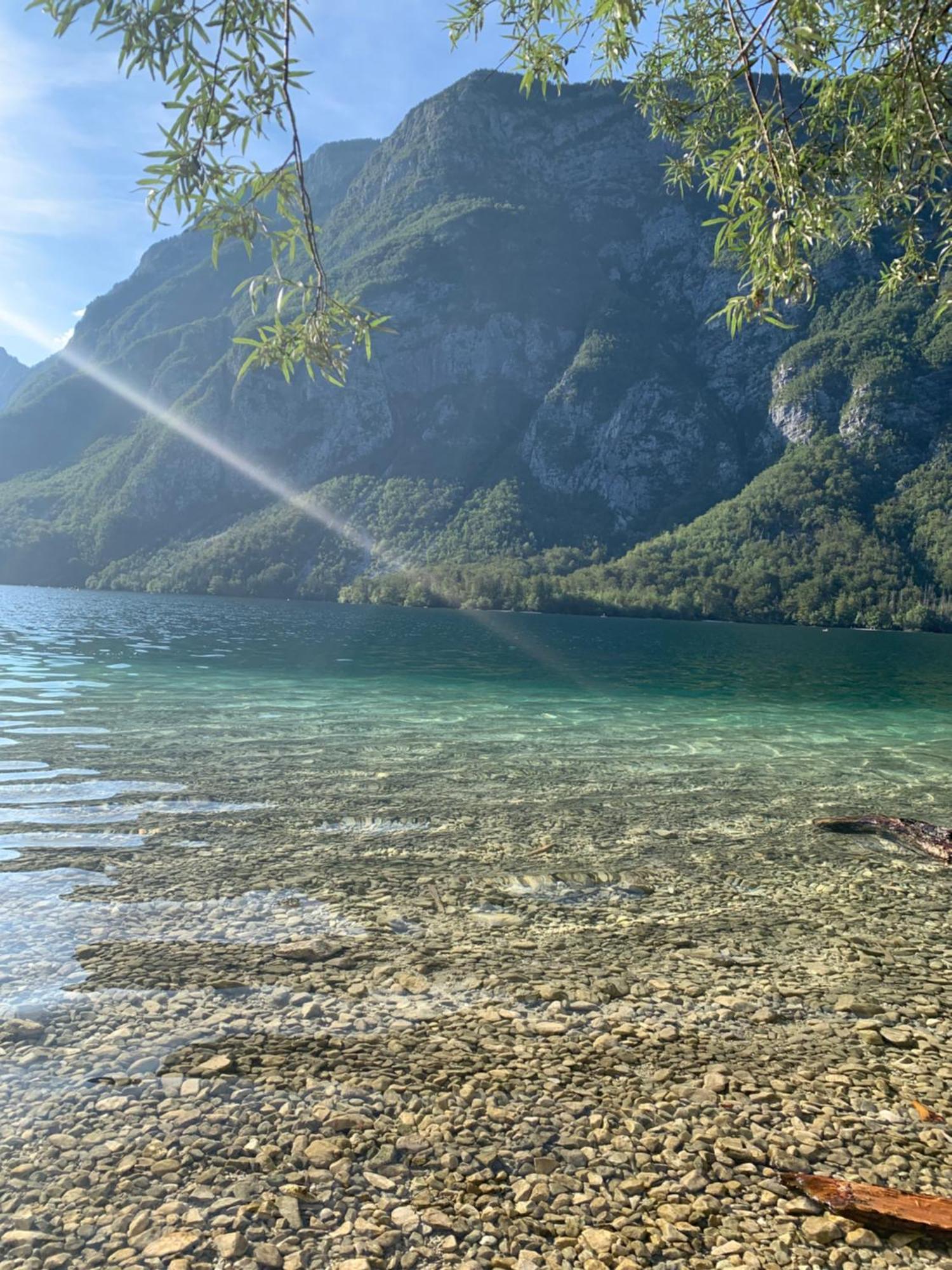 Apartments Bb Bohinj ภายนอก รูปภาพ